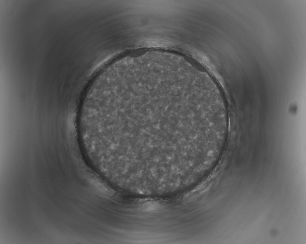 X0000116790249201001081319