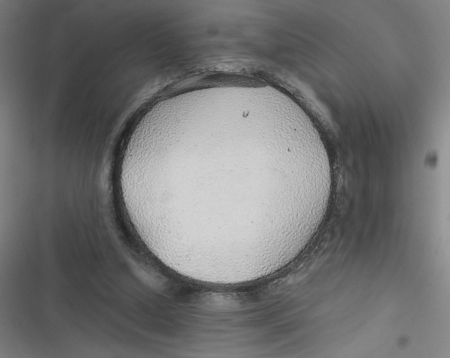 X0000116790250201001081319