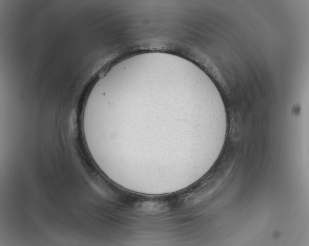 X0000116790251201001081319