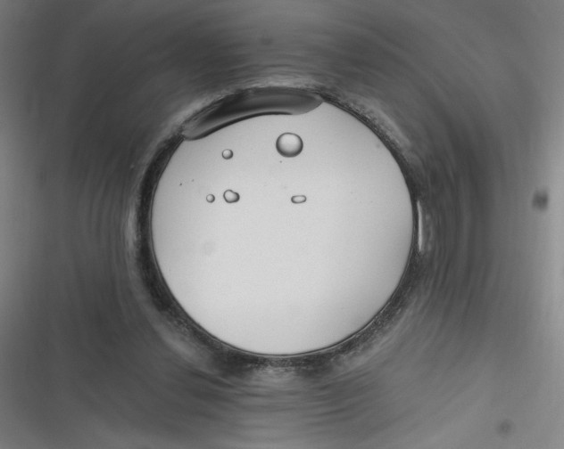 X0000116790252201001081319