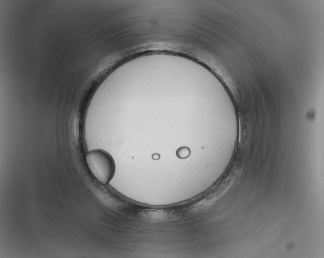 X0000116790253201001081319