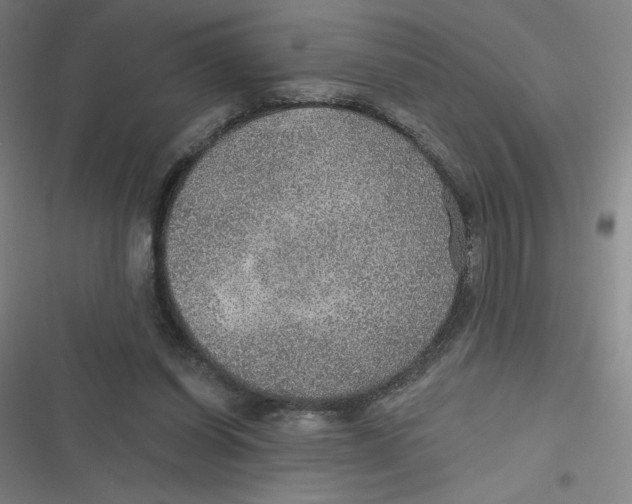 X0000116790254201001081319