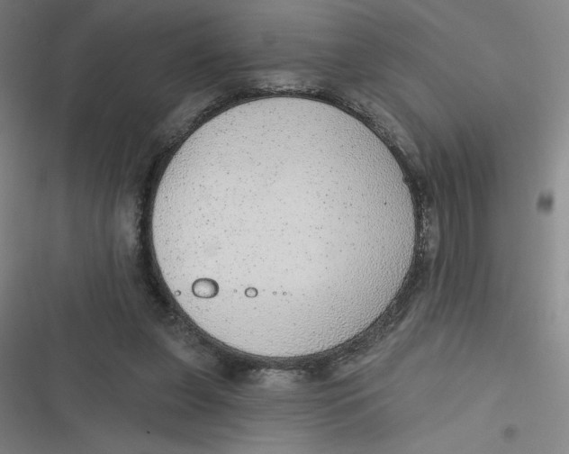 X0000116790255201001081319