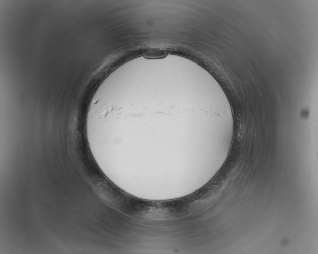 X0000116790256201001081319