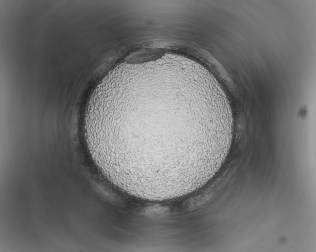 X0000116790257201001081319