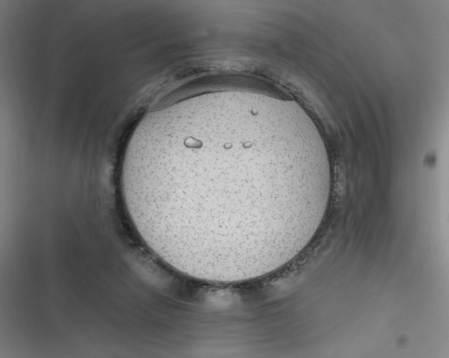 X0000116790258201001081319