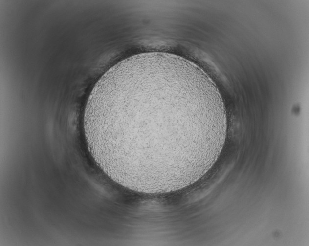 X0000116790259201001081319