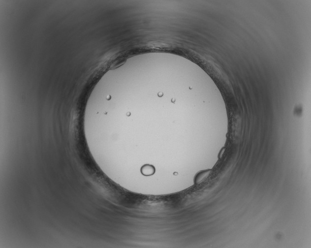 X0000116790260201001081319