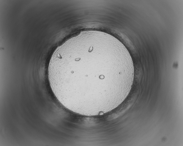 X0000116790261201001081319