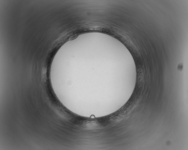 X0000116790262201001081319