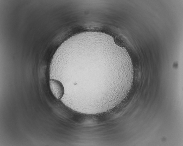 X0000116790263201001081319