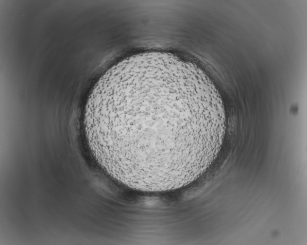 X0000116790264201001081319