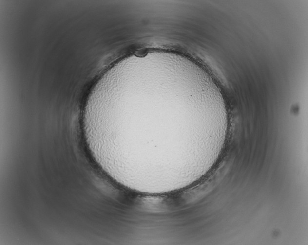 X0000116790265201001081319