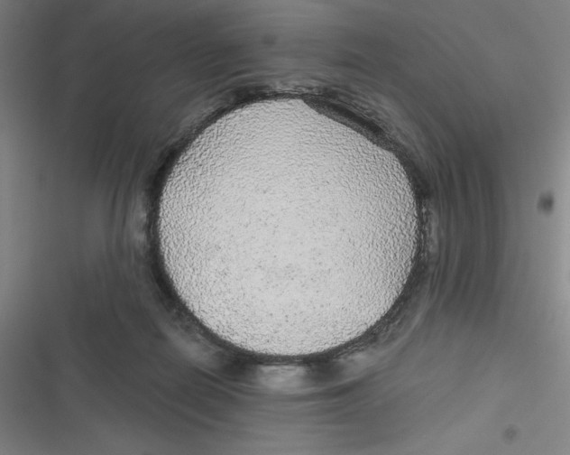 X0000116790266201001081320