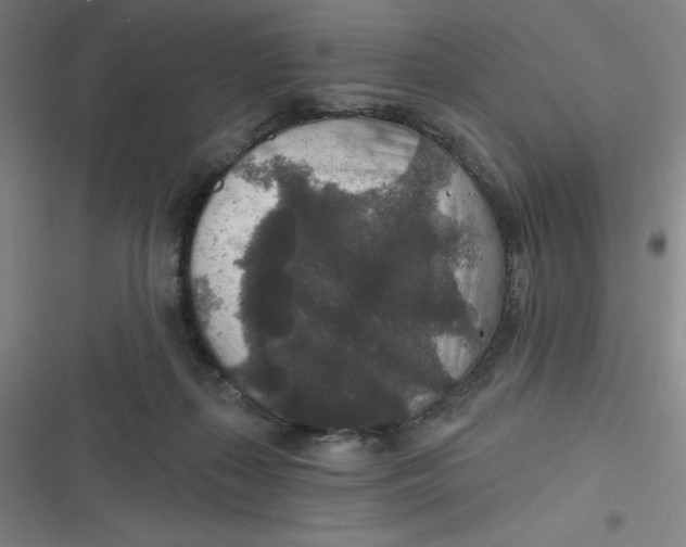 X0000116790267201001081320