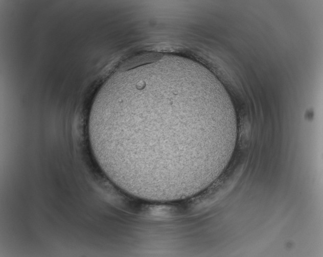 X0000116790268201001081320