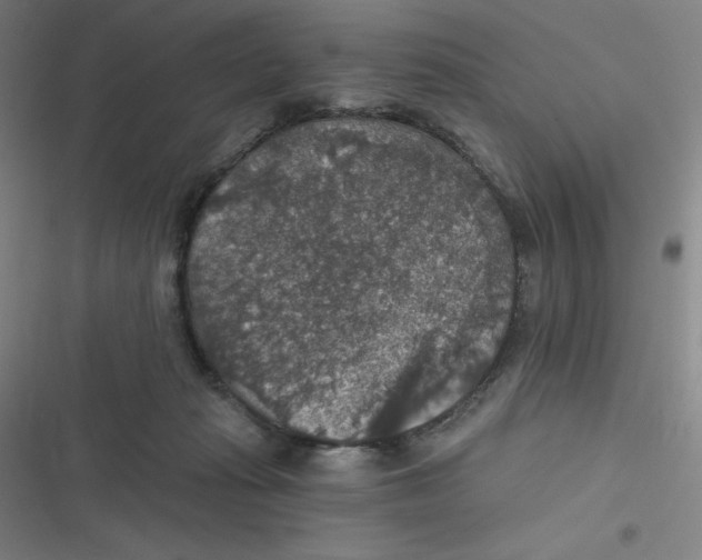 X0000116790269201001081320