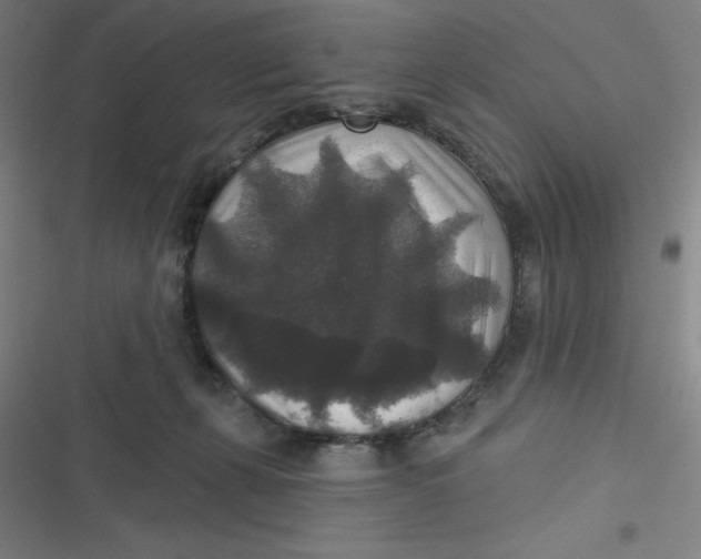 X0000116790271201001081320