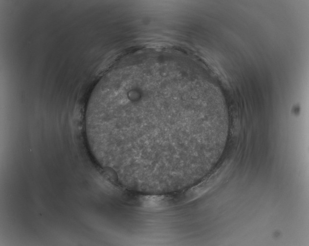 X0000116790273201001081320