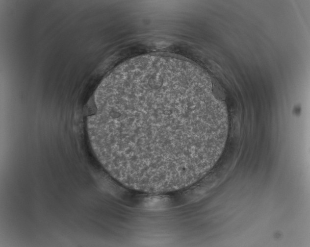 X0000116790274201001081320