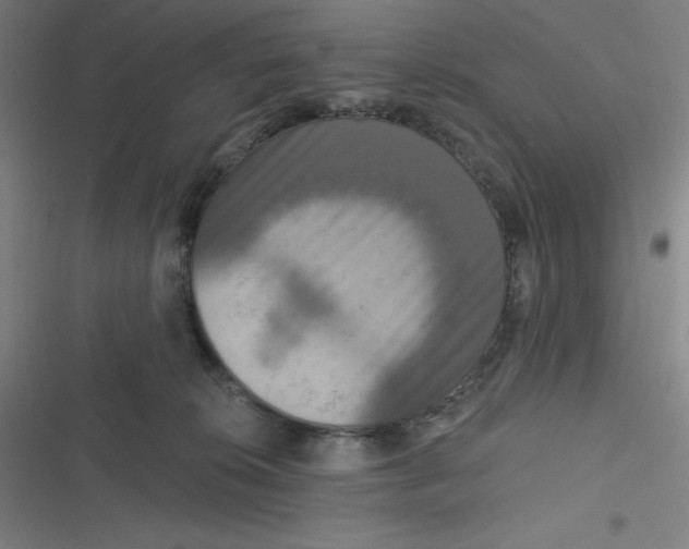 X0000116790276201001081320