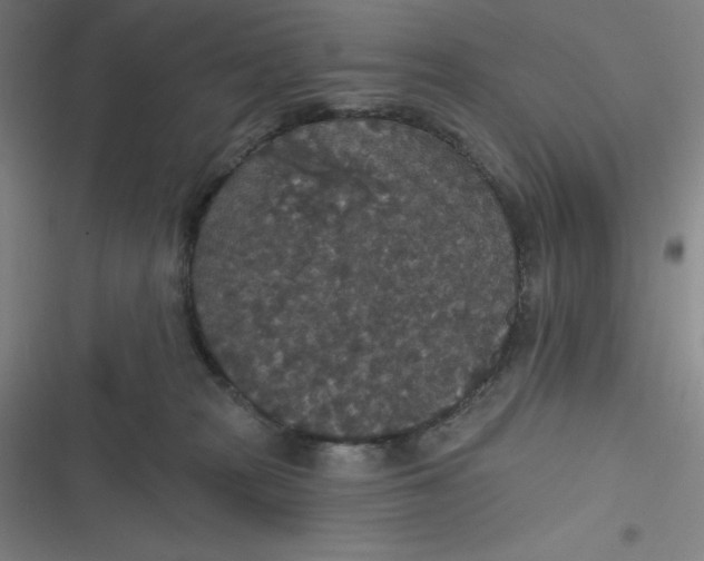 X0000116790277201001081320