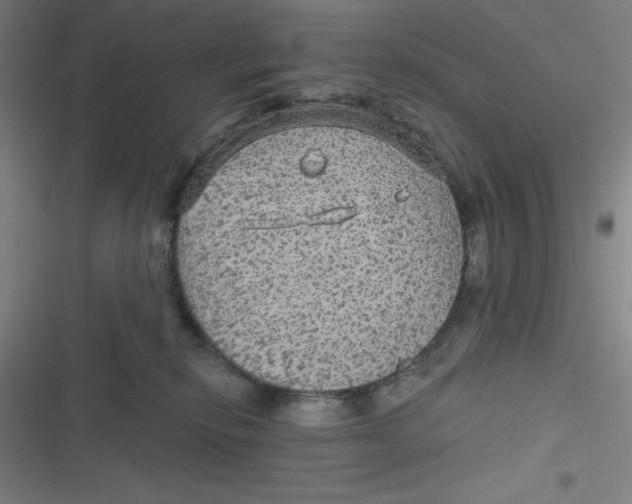 X0000116790278201001081320