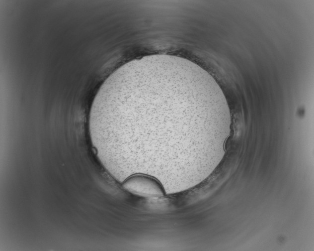 X0000116790279201001081320