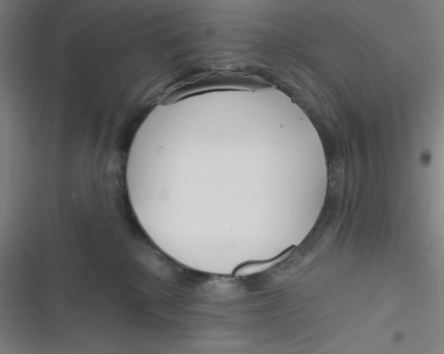 X0000116790280201001081320