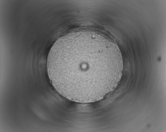 X0000116790281201001081320