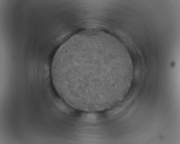 X0000116790282201001081320