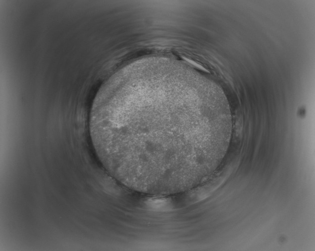 X0000116790283201001081320