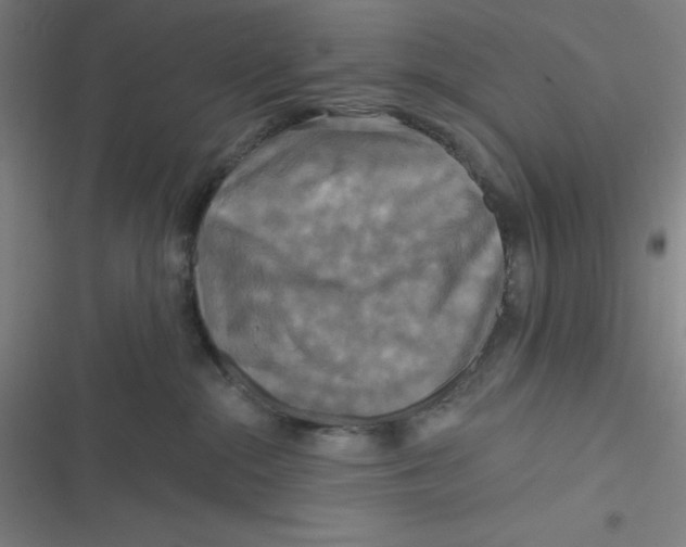 X0000116790284201001081320