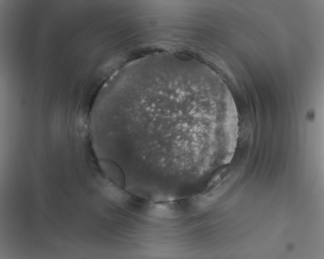 X0000116790285201001081320