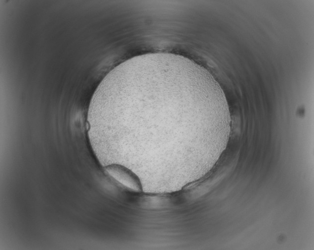 X0000116790286201001081320