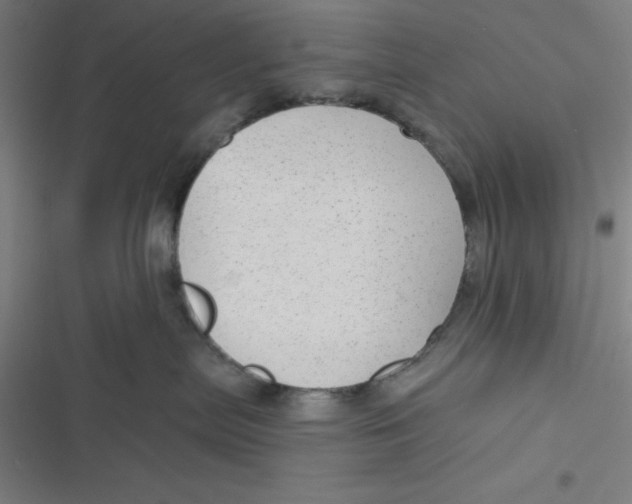 X0000116790287201001081320