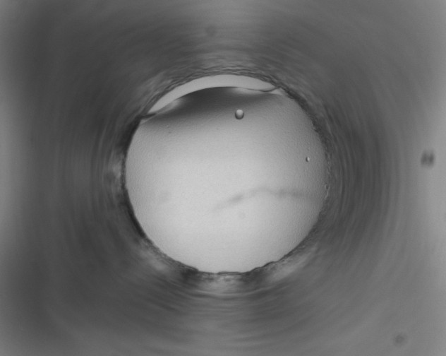 X0000116790288201001081320