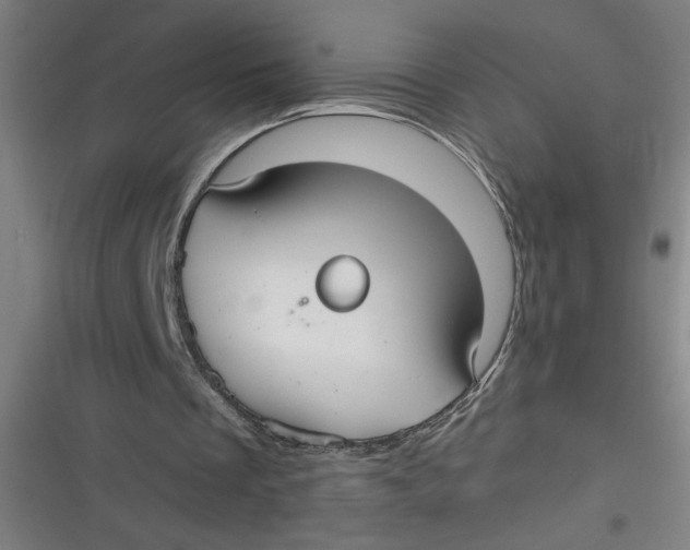 X0000116790289201001081319