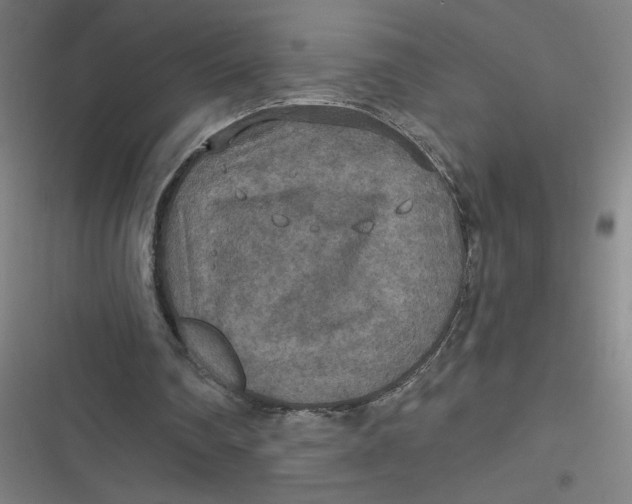 X0000116790290201001081319