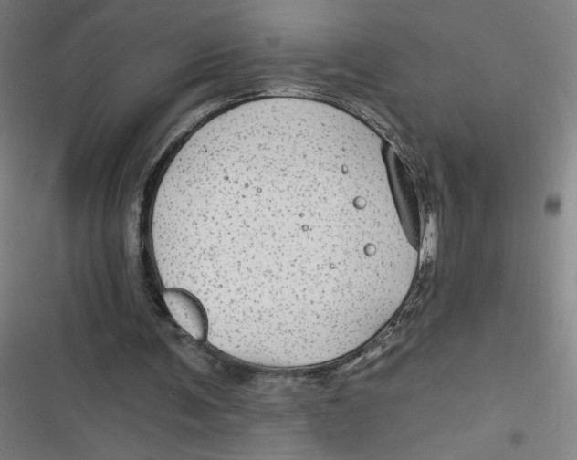 X0000116790291201001081319