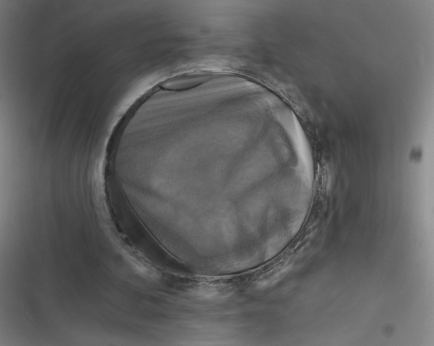 X0000116790292201001081319