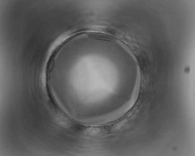 X0000116790294201001081319