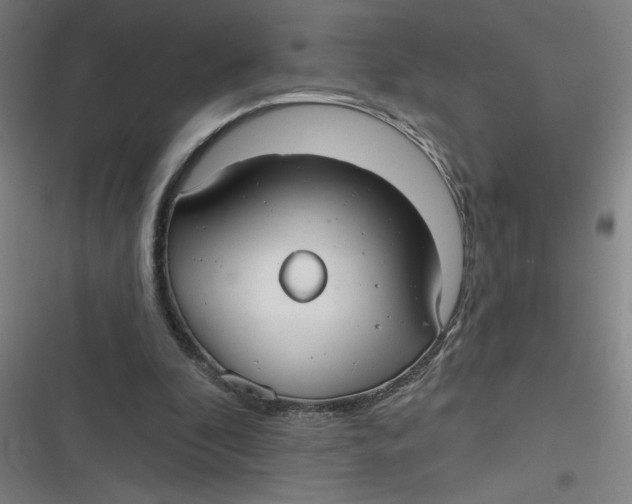 X0000116790296201001081319