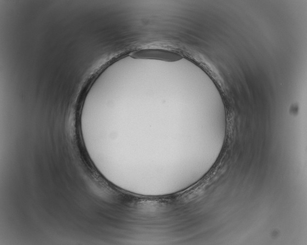 X0000116790298201001081319