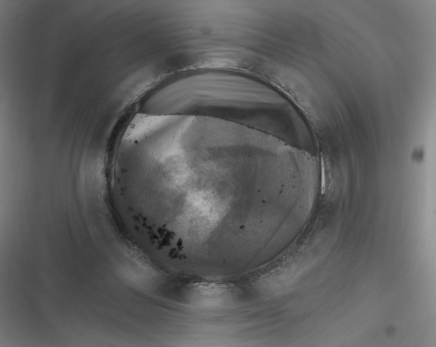 X0000116790300201001081319