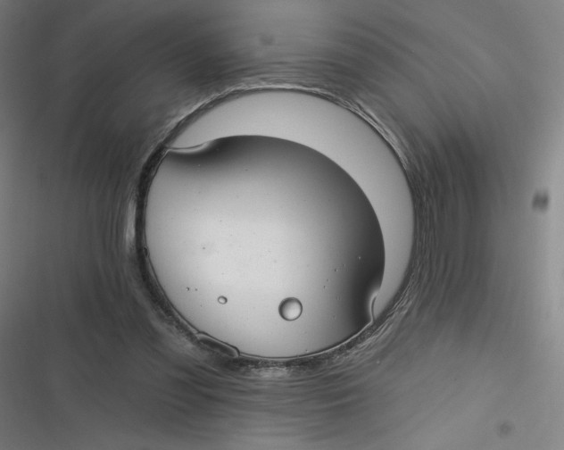 X0000116790301201001081319