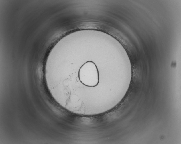 X0000116790302201001081319