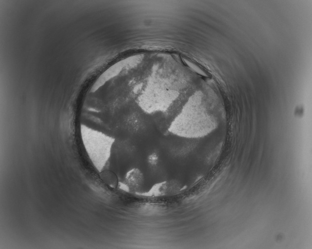 X0000116790303201001081319