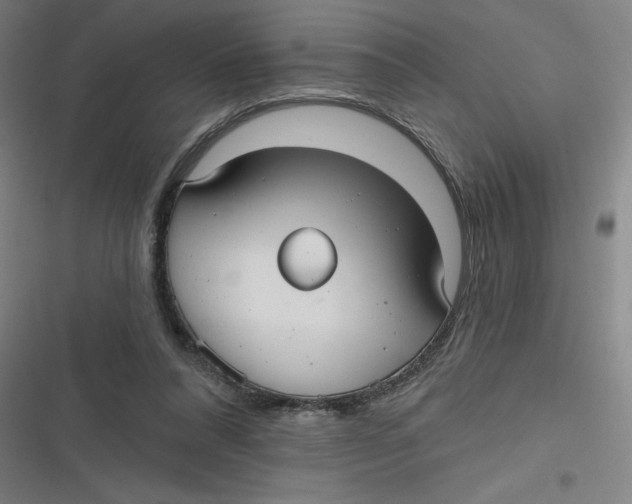 X0000116790304201001081319