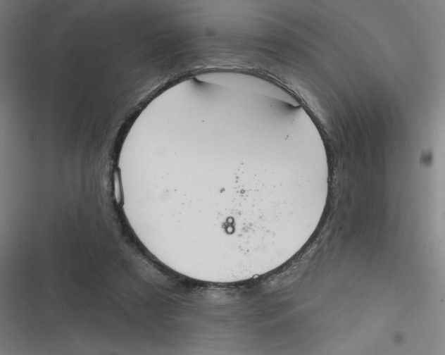 X0000116790305201001081319